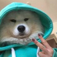 吴吴