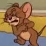 心肌梗塞杰瑞鼠