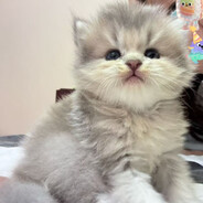 她要飞飞飞飞走啦