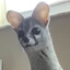 xeW