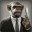 monkey13