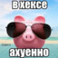 ПИВНАЯ СИСЯ
