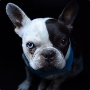 Big Avatar