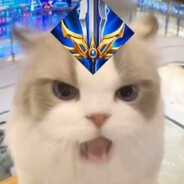 立立立立立立中