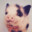 Lizzo Lil Pig Boy