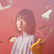 玩开心点萨卡班甲鱼