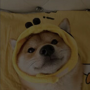 发烧的双皮奶pp