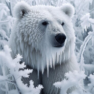 FrozenBear avatar