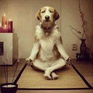 四舍五入五十岁