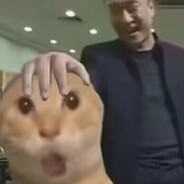 秋刀鱼也会过期