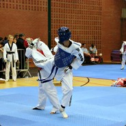 TAEKWONDO MASTER ***