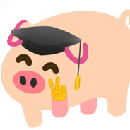 爱打游戏的小猪