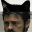 Purrtcher