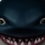 Mkj.Sharky