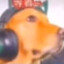 djñaki