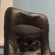 охрана лоутаба