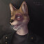 Jackal under beer