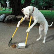 pOOper` - steam id 76561197964500021