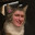 CuteCunt_QwQ