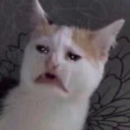 势不可挡派大毛