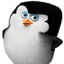 baby penguin