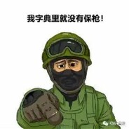 我的字典里没有保枪