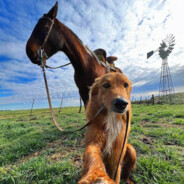 DE_vstvenik - steam id 76561199601687938