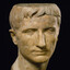 Suinus Julius Herdus