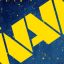 NA&#039;VI GAMING