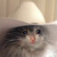 Oggymot