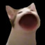 Megaupload