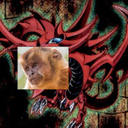 slifer the sky ape