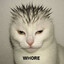 damnwhore