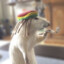 dezê