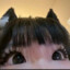 mèo MIAO