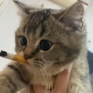 唯我理塘丁真王