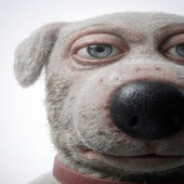 Lousy Mutt