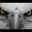 Eagle / CSGOatse.com