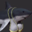 shark boobs