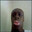WormGaming11