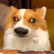 重生之我不是片神