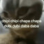 ChipiChipiChapaChapa