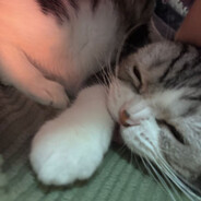 不要不要辣椒面