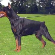 ๖ۣۜÐoberManN๖ mixcanmerco