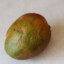 Feeblemango