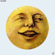 berniesanderanderson
