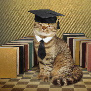 Профессор Кот