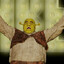 shrek the musical