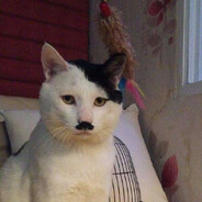 Kittler - steam id 76561198256251075