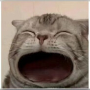 干拉急停头接子弹